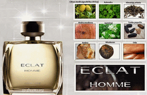 Eclat Homme Eau de Toilette